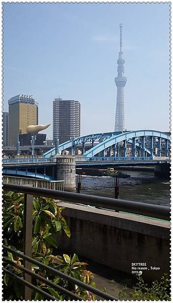 SKYTREE-7.jpg