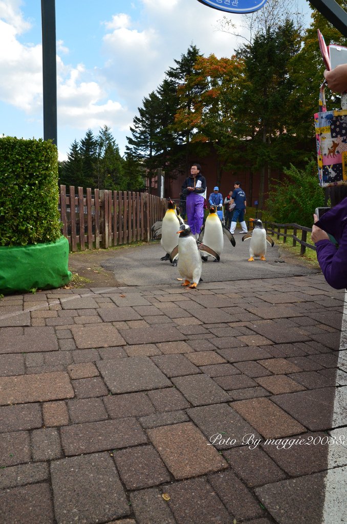DSC_0477.jpg
