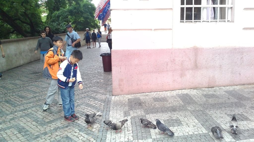 P_20140630_112909.jpg