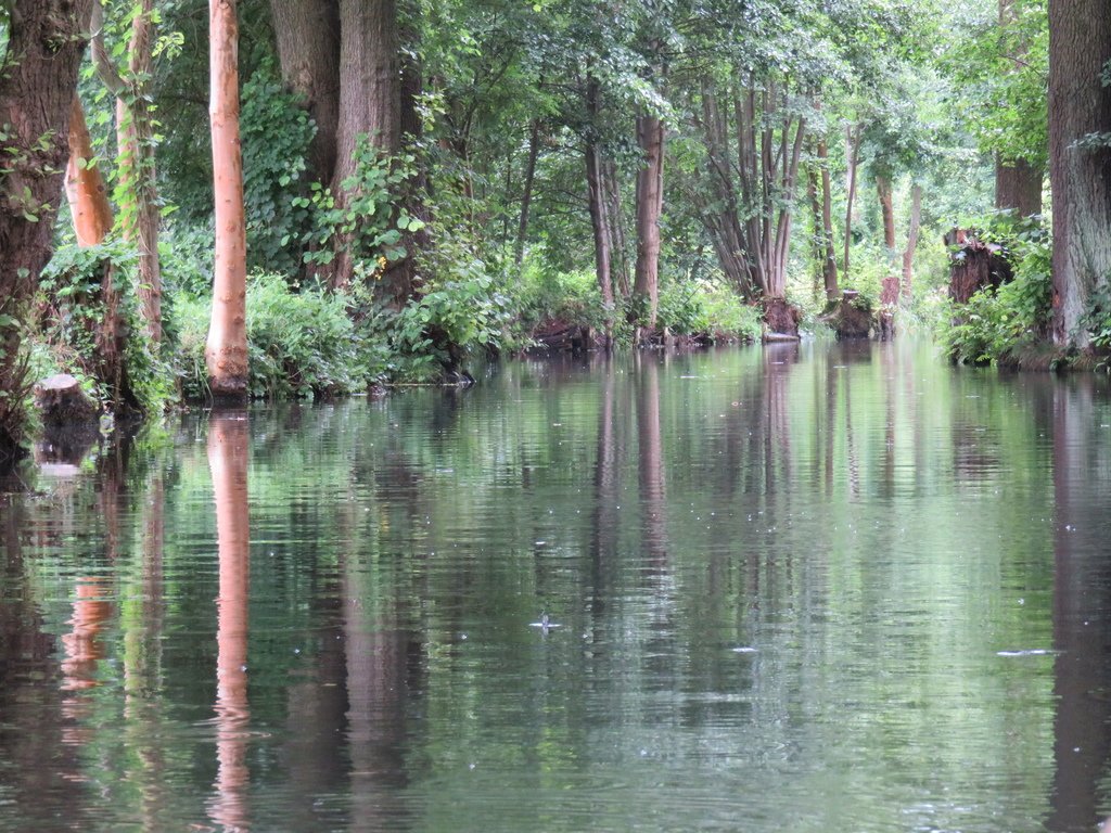 水道漫遊.JPG