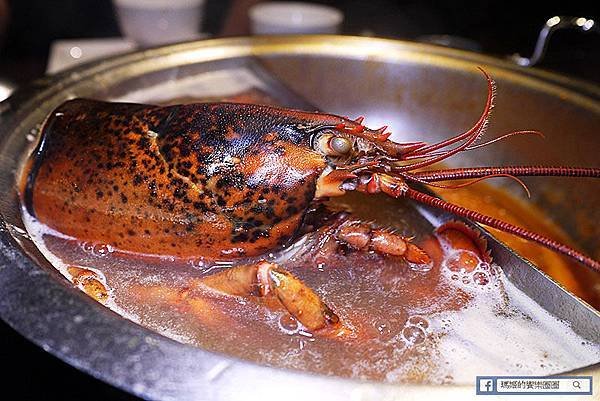 台北美食【聚北海道昆布鍋-台北衡陽店】大啖波士頓龍蝦真過癮。謝師宴聚會好選擇！捷運台大醫院站美食