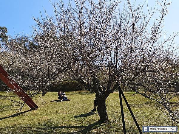 桃園賞梅景點【角板山行館】角板山公園樂活賞梅行程推薦/全新規畫六大區域