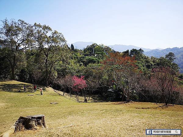 桃園賞梅景點【角板山行館】角板山公園樂活賞梅行程推薦/全新規畫六大區域