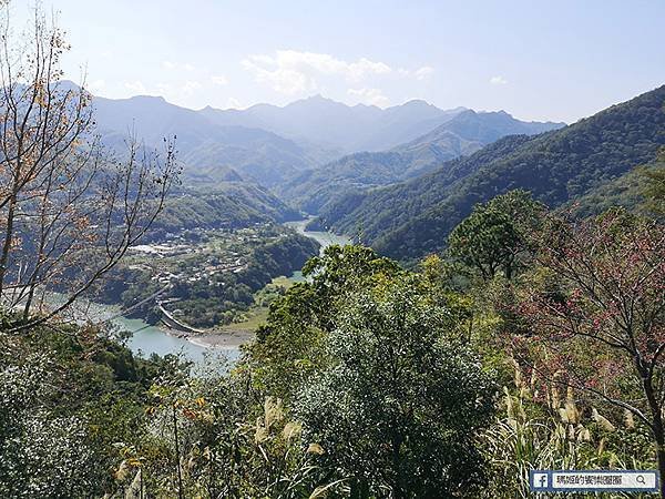 桃園賞梅景點【角板山行館】角板山公園樂活賞梅行程推薦/全新規畫六大區域