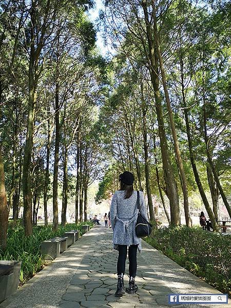 桃園賞梅景點【角板山行館】角板山公園樂活賞梅行程推薦/全新規畫六大區域