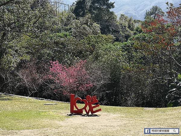 桃園賞梅景點【角板山行館】角板山公園樂活賞梅行程推薦/全新規畫六大區域