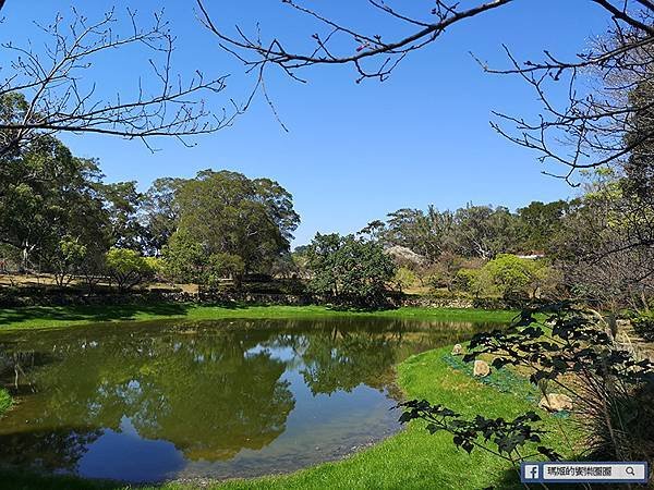 桃園賞梅景點【角板山行館】角板山公園樂活賞梅行程推薦/全新規畫六大區域