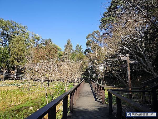 桃園賞梅景點【角板山行館】角板山公園樂活賞梅行程推薦/全新規畫六大區域