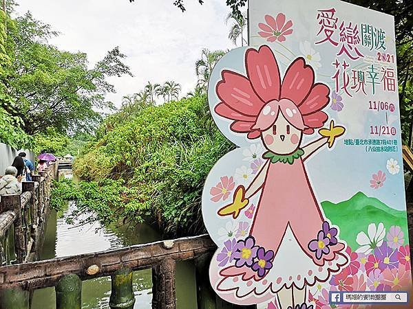 2021台北花海景點推薦【關渡秘境花海】快來拍網美照~寬廣繽紛波斯菊花海！免費接駁賞花專車