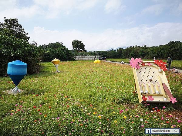 2021台北花海景點推薦【關渡秘境花海】快來拍網美照~寬廣繽紛波斯菊花海！免費接駁賞花專車