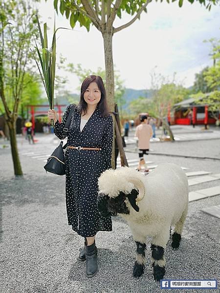 宜蘭景點推薦【張美阿嬤農場】和笑笑羊/草泥馬/梅花鹿的第一類接觸！宜蘭休閒農場