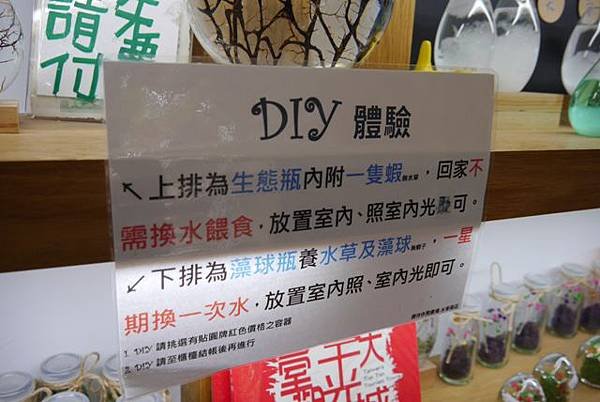 P1020641.JPG