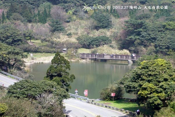 2011-0227-115245(北)陽明山-大屯自然公園.jpg