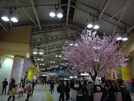 DSC09950.JPG