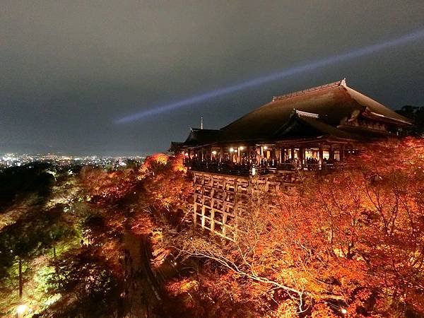 Day 7 清水寺賞夜楓