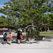 P1110569