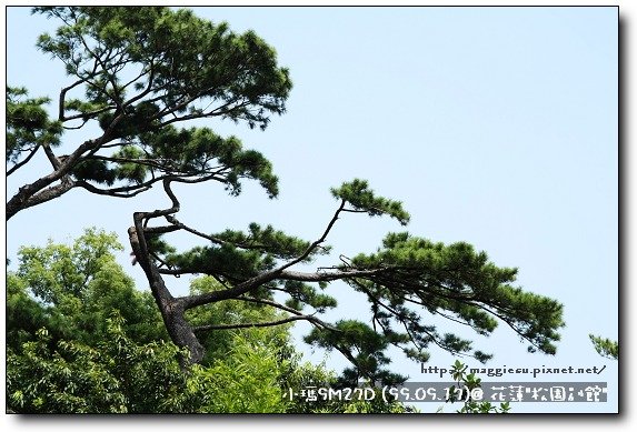 990917153松園別館.JPG