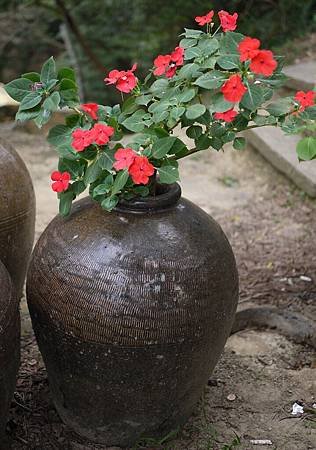 P1010913.JPG