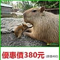 台南頑皮世界野生動物園～優惠價380元