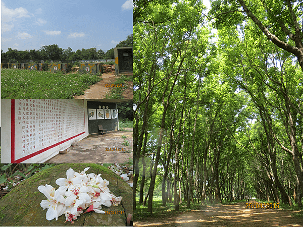 後花園