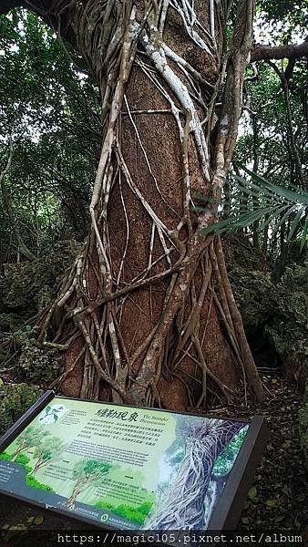 墾丁國家森林公園