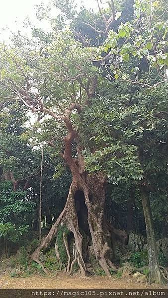 墾丁國家森林公園