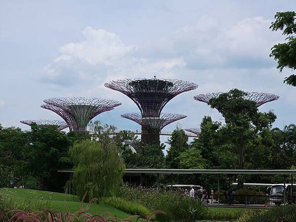 IMG_002擎天樹叢(Supertree Grove).jpg