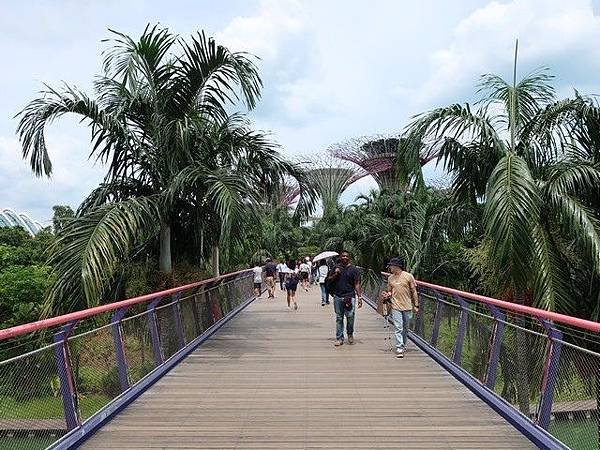 IMG_003蜻蜓橋(Dragonfly Bridge).jpg