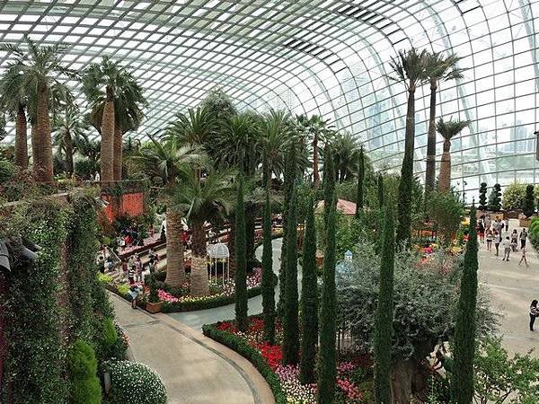 IMG_008.jpg