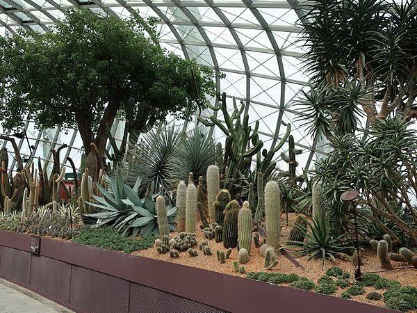 IMG_010肉質植物花園(Succulent Garden).jpg