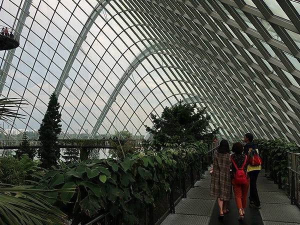 IMG_031Treetop Walk (樹端步道).jpg
