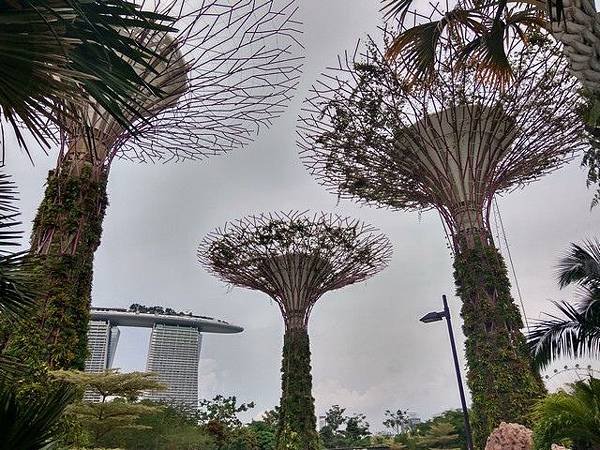 IMG_037Golden Garden.jpg