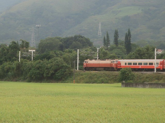 IMG_036火車穿越稻田.jpg