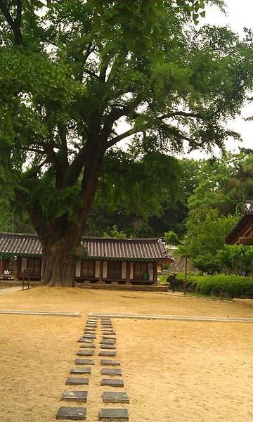 IMAG0527.jpg