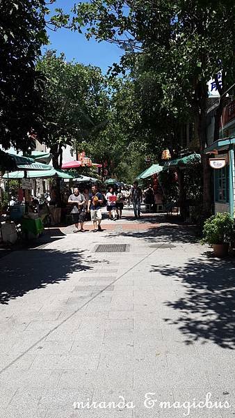 20140713_134104.jpg