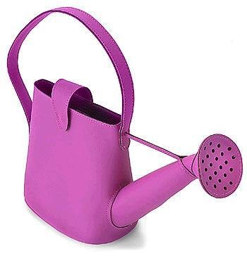 Watering Can Purse.jpg