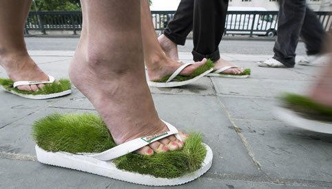 Grass Flip Flops 01.jpg