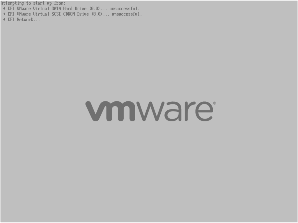 VMware BIOS Boot Sequence