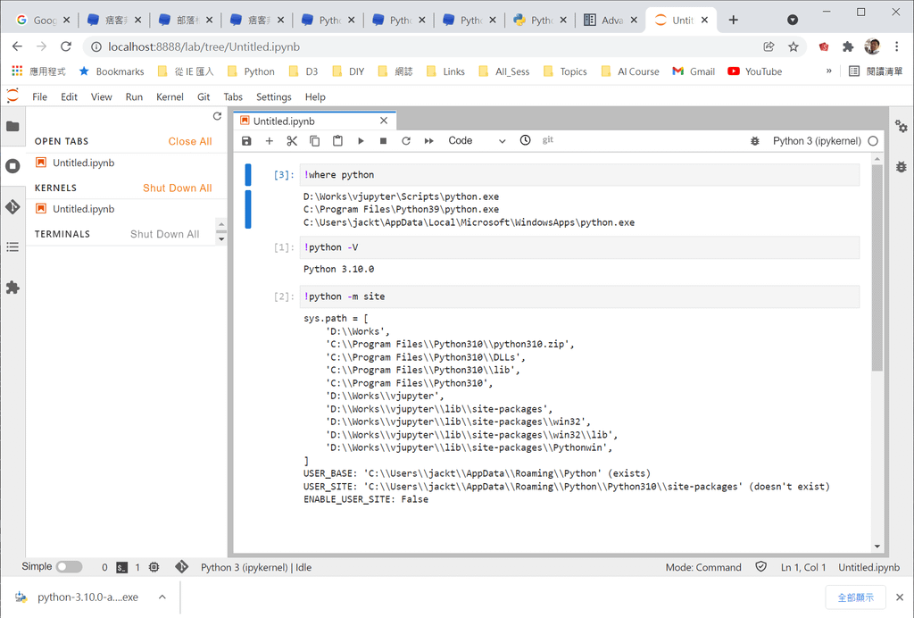 Check Python in Jupyter Env.