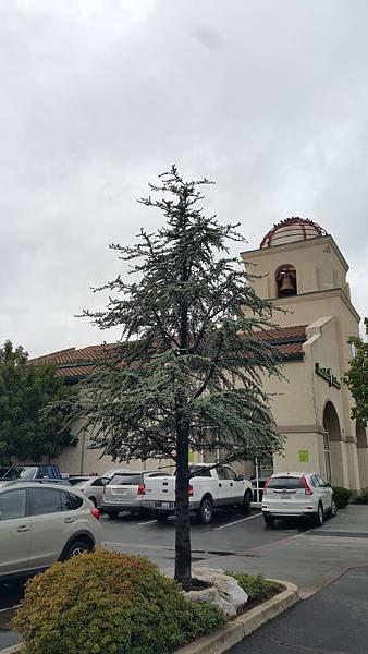 20161029_112939.jpg