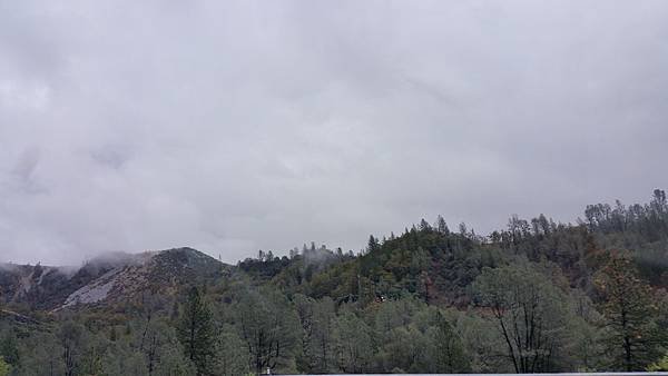 20161029_130557.jpg