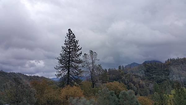 20161029_131053.jpg