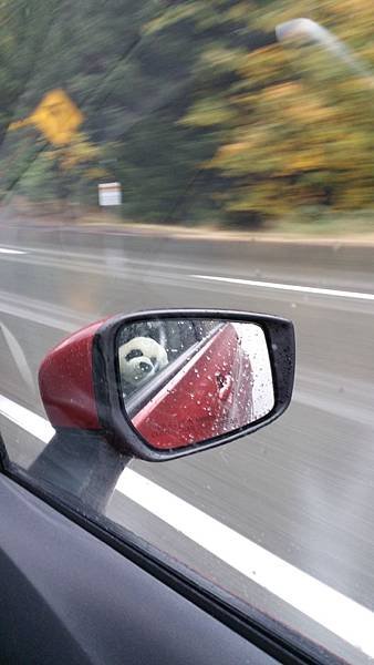20161029_133423.jpg