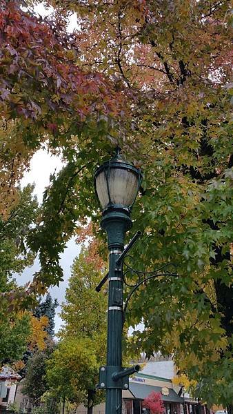 20161029_140948.jpg