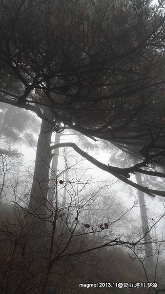 11/14 黃山