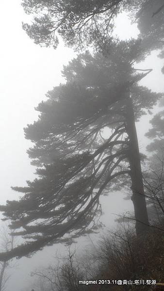 11/14 黃山