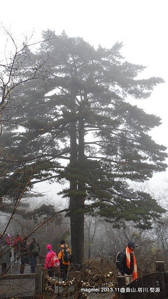 11/14 黃山