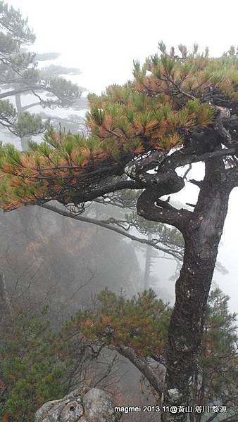 11/14 黃山