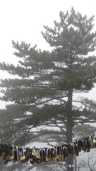 11/14 黃山