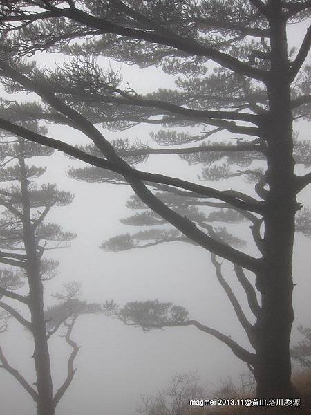 11/14 黃山